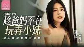 Poster of PMC 445 kỹ năng làm tình đạt đỉnh chóp