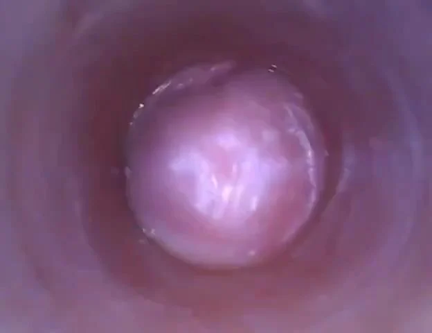 Muốn biết bên trong cái lồn như thế nào hãy xem video này
